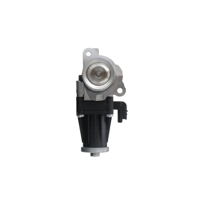 Afbeelding van EGR klep VALEO 703201