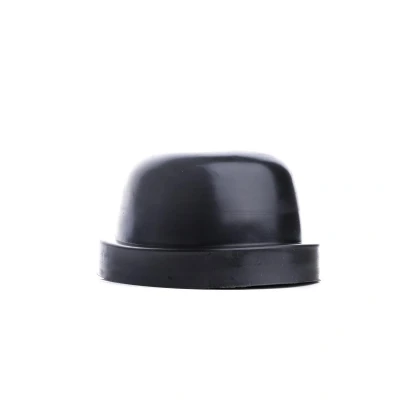 Afbeelding van EINPARTS EPC14 Kap, koplamp