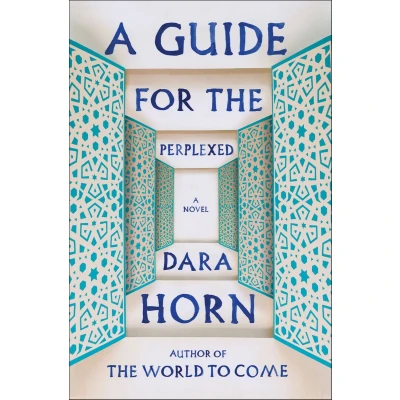 Afbeelding van A Guide for the Perplexed: Novel