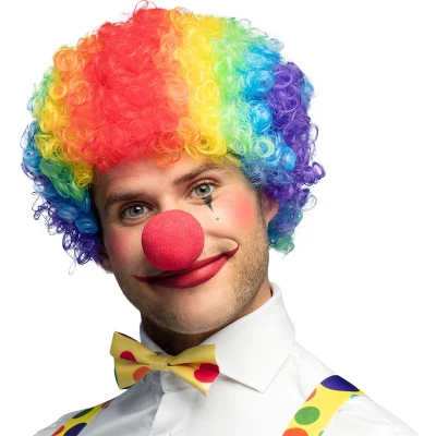 Afbeelding van Boland Pruik Clown Multikleur Volwassenen