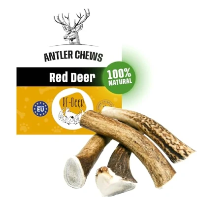 Afbeelding van RF DEER Hondenkluif met hertengewei Een natuurlijke, veilige en gezonde traktatie voor uw hond Verkrijgbaar in verschillende varianten maat XS, 6 9 cm HARDE versie 5 stuks