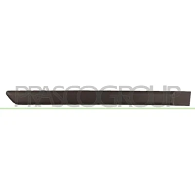 Afbeelding van Sier / beschermingspaneel, deur PRASCO FT1221453