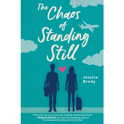 Afbeelding van The Chaos of Standing Still