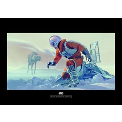 Afbeelding van Komar Poster Star Wars Classic RMQ Hoth Battle piloot