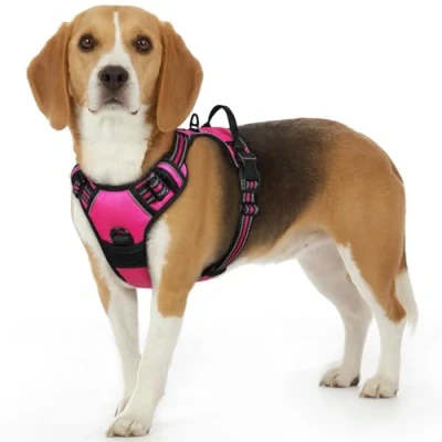 Afbeelding van Eagloo Hondenharnas voor kleine honden, anti trekhondenharnas met reflecterende strepen en controle, verstelbaar, instelbaar, duurzaam borstharnas, geschikt wandelen joggen, rozerood, XS