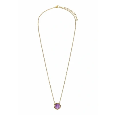 Afbeelding van Lucardi Dames Stalen goldplated Ketting met amethyst Staal Goudkleurig 47 cm