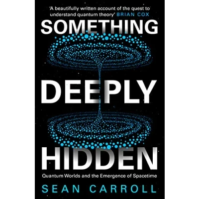 Afbeelding van Something Deeply Hidden: Quantum Worlds and the Emergence of Spacetime