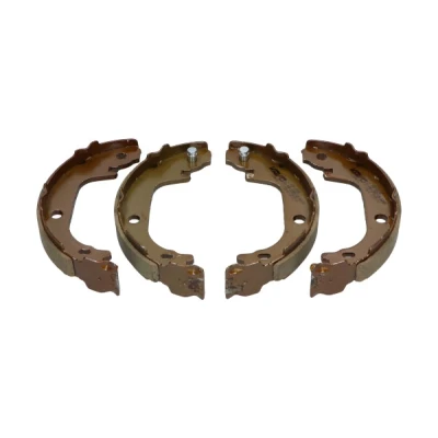 Afbeelding van Kavo Parts Remschoen set KBS 10018