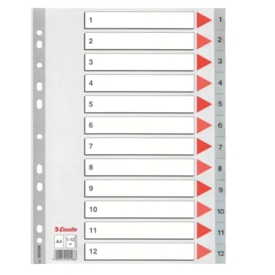 Afbeelding van Esselte Kunststof Index 1 12 met Perforatiegaten Tabblad voor A4 Documenten Grijs