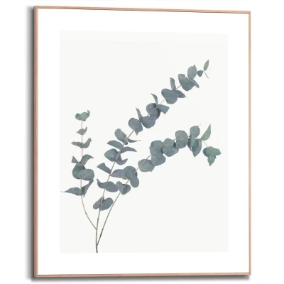 Afbeelding van Reinders! Artprint met lijst Eucalyptus