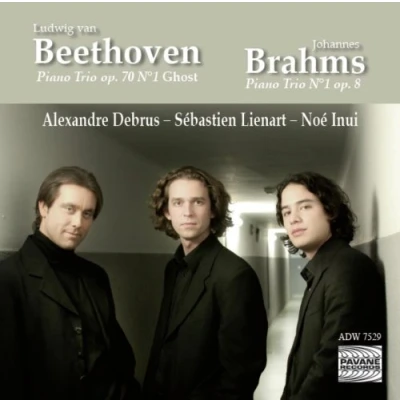 Afbeelding van Trio Carlo Van Neste Piano Op 70 Nr 1 / 8 (CD)