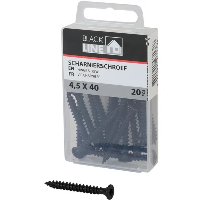 Afbeelding van Blackline Scharnierschroef Hcp Zwart Pk 8Mm Torx TX20 +Snijpunt 4.5X40 20 stuks 6901.30.14540
