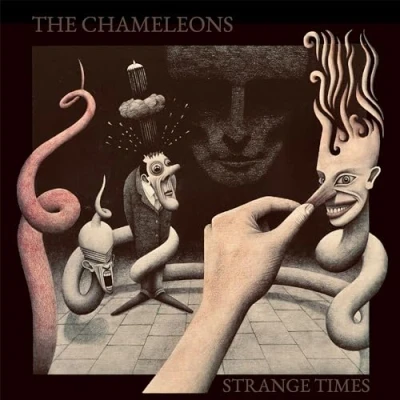 Afbeelding van Chameleons Strange Times (2 LPs)