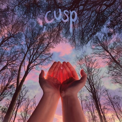 Afbeelding van Cusp What I Want Doesn&#039;t Me Back (LP)