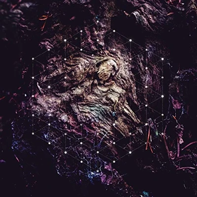 Afbeelding van Psychonaut Unfold The God Man (CD)