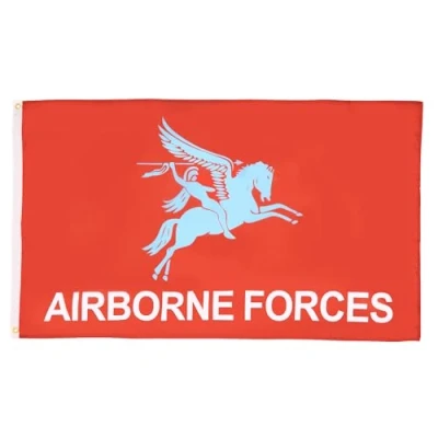 Afbeelding van AZ FLAG Vlag Airborne Pegase 90 x 60 cm Amerikaanse legervlag 100% polyester met geïntegreerde metalen ogen paviljoen 50 g