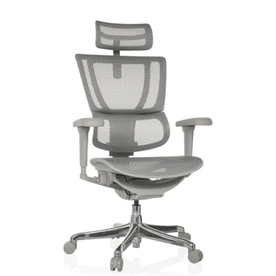 Afbeelding van ERGOHUMAN SLIM ULTRA G GEN2 net Luxe directiestoel Grijs
