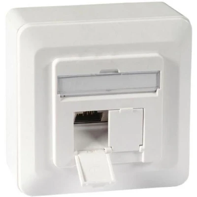 Afbeelding van RJ45 wandcontactdoos FTP (2 x RJ45, Cat6a, Verticaal, Opbouw)