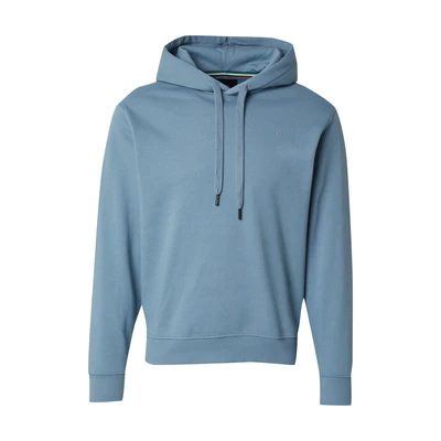 Afbeelding van Replay Basics Capuchontrui voor heren, 388 Steel Blue, M