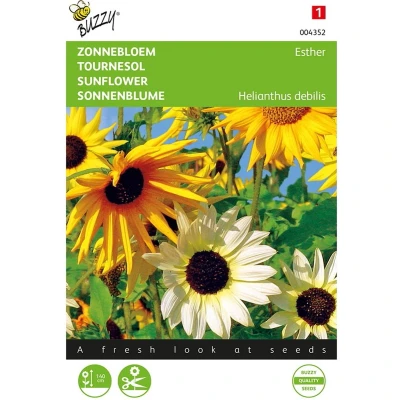 Afbeelding van Zonnebloem Gemengd Buzzy