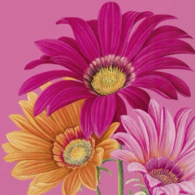 Afbeelding van Ihr 10383 Lunchservietten 25x25cm 20 stuks Joyful Gerbera pink