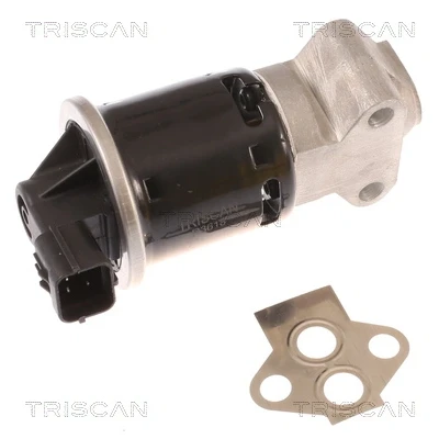 Afbeelding van EGR klep TRISCAN 8813 21100