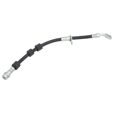 Afbeelding van Delphi Diesel Remslang LH7663