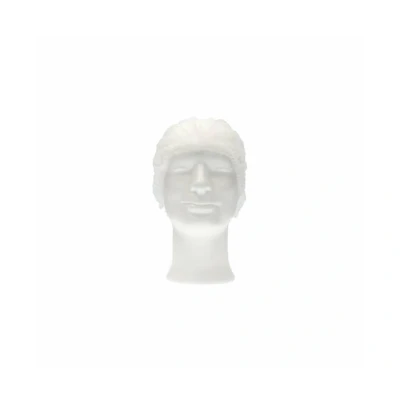 Afbeelding van Haarnetjes CMT Haarnet Clip Cap PP Non Woven Wit Maat L 53cm