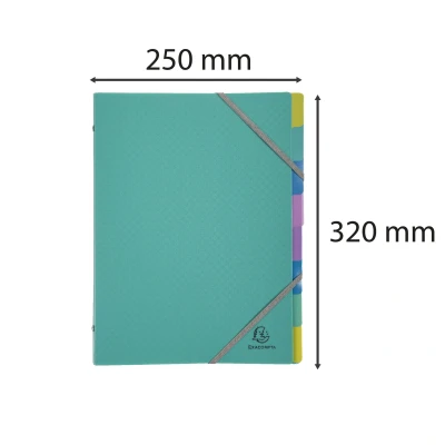 Afbeelding van Exacompta Ref. 56193E 1 Sorteermap Forever Young 3 kleppen met elastosluiting gerecycleerd polypropyleen omslag en binnenkant 8 vakken afmeting 25x32 cm voor A4 formaat Kleur: turkoois