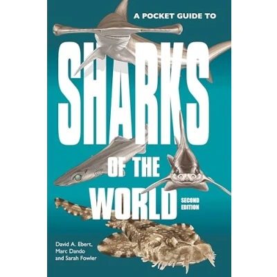 Afbeelding van A Pocket Guide to Sharks of the World: Second Edition: 23