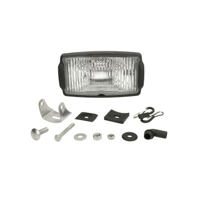Afbeelding van Mistlicht WESEM HP5.22386.01