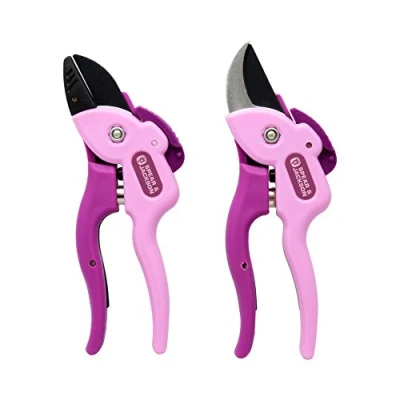 Afbeelding van Spear &amp; Jackson CUTTINGSET15 Set Bypass en aambeeld snoeischaar, compact design