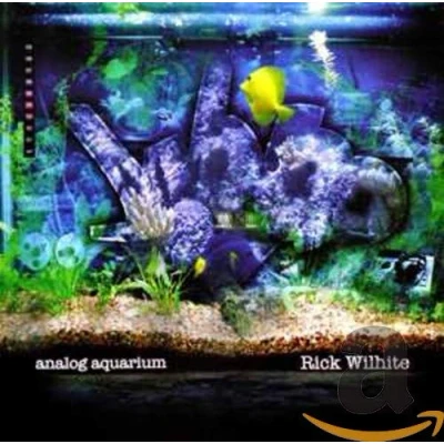 Afbeelding van Analog Aquarium