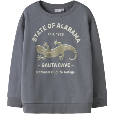 Afbeelding van NAME IT KIDS sweater grijsblauw
