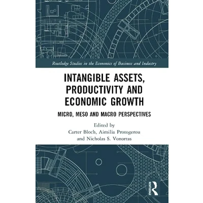 Afbeelding van Intangible Assets, Productivity and Economic Growth: Micro, Meso Macro Perspectives
