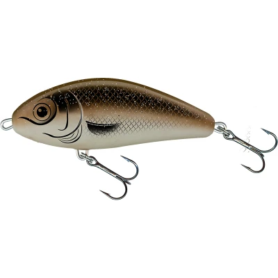 Afbeelding van Salmo Fatso Floating 10cm 48g (diepte: 0.8 1.2m) Kleur : Arkansas