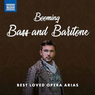 Afbeelding van Lado Ataneli Carlo Colombara Samuel Ramey Re Booming Bass And Baritone Best Loved Opera Arias (CD)
