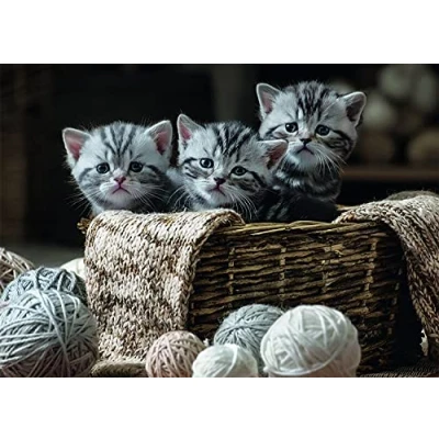 Afbeelding van Rebo puzzel Cute Kittens 1000 st