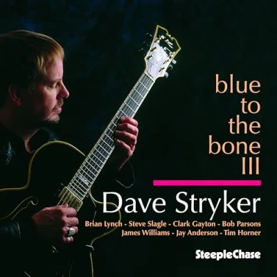 Afbeelding van Dave Stryker Blue To The Bone III (CD)