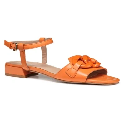 Afbeelding van Geox D NEW Eraklia 15 Sandalen, Dames, Maat: 38.5, Orange Leer