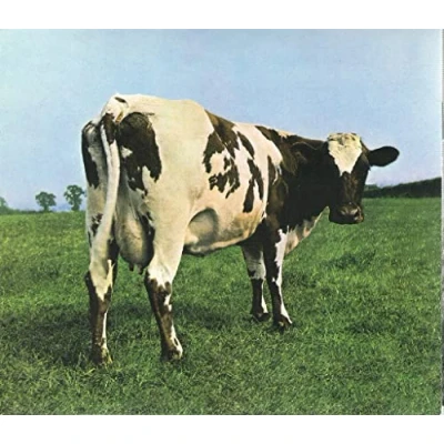 Afbeelding van Atom Heart Mother