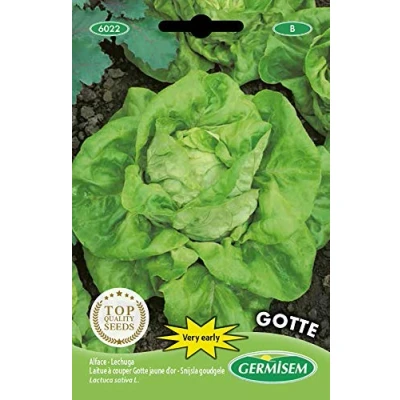 Afbeelding van Germisem Gotte Sla Zaden 5 g