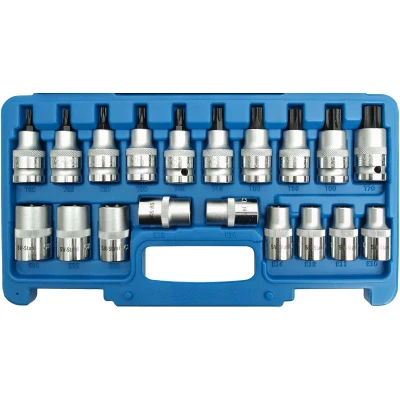 Afbeelding van SW stalen schroevendraaierinzetstukken T en E profiel, 19 delig, 1/2 inch 30 70 / 10 24, 04180L