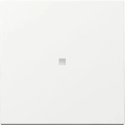 Afbeelding van GIRA Systeem 55 Bedieningswip met lens Zuiver wit 329003 (nieuw model)