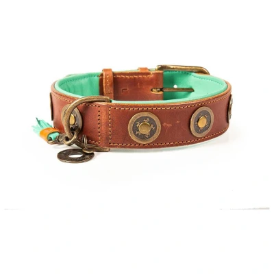 Afbeelding van Dwam Halsband Urban Bruin&amp;Turquoise Hondenhalsband 41 51x4.0 cm
