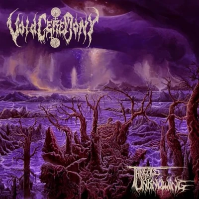 Afbeelding van Threads of Unknowing
