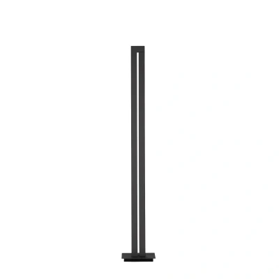 Afbeelding van Paul Neuhaus Vloerlamp Pure Lines antraciet 421 13