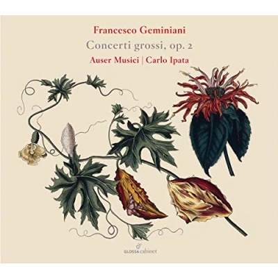 Afbeelding van Auser Musici &amp; Carlo Ipata Concerti Grossi Op. 2 (CD)