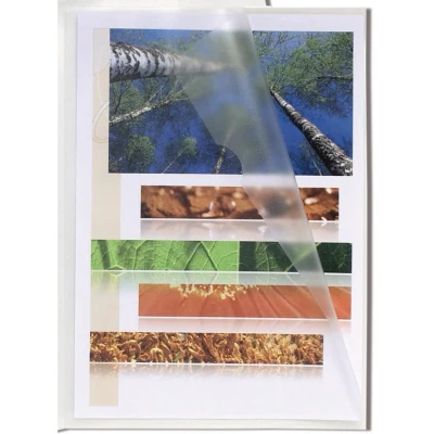 Afbeelding van PK 50 L map korrel P 12/100 A4 transp. per 10