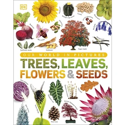 Afbeelding van Our World in Pictures: Trees, Leaves, Flowers &amp; Seeds: A visual encyclopedia of the plant kingdom